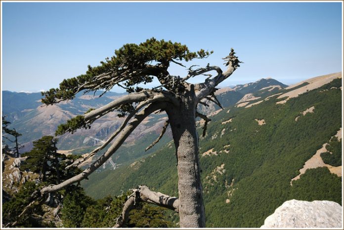 parco del Pollino, Basilicata