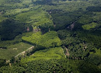 la riserva di caccia Dyrehave e Gribskov