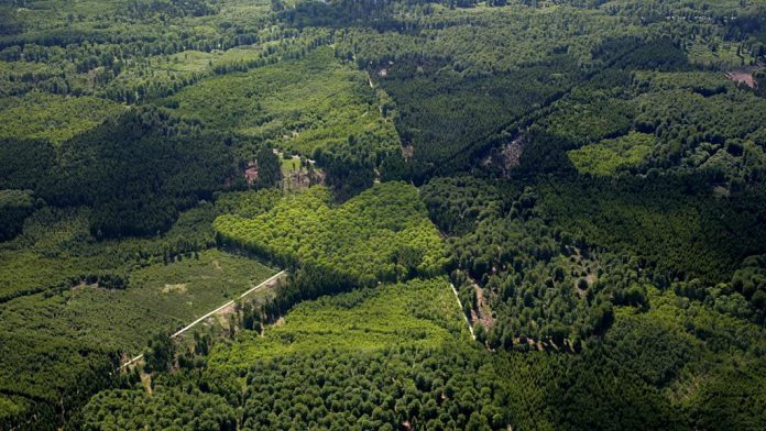 la riserva di caccia Dyrehave e Gribskov