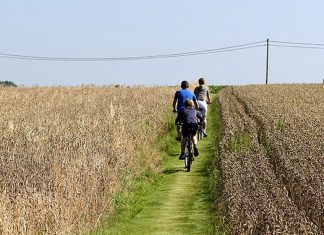 Visit Flanders