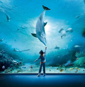 Acquario di Genova