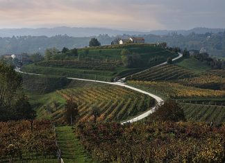 Conegliano-Valdobbiadene
