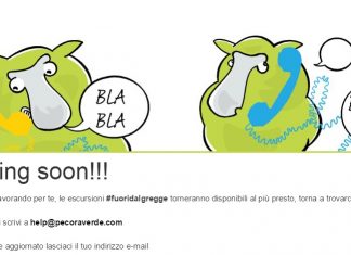 pecora verde