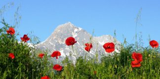 Abruzzo