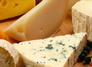 Casaria