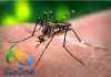 Zika e Olimpiadi in Brasile Rio 2016