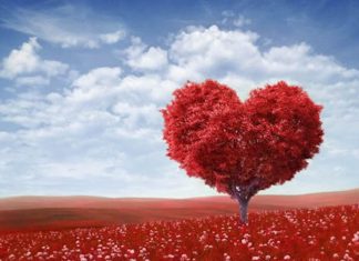 Per San Valentino 120mila italiani hanno scelto l'agriturismo