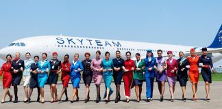 SkyTeam