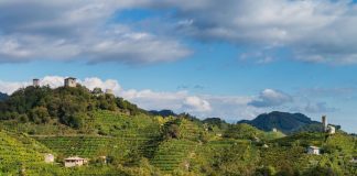 Il paesaggio del Conegliano Valdobbiadene