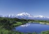 Denali National Park