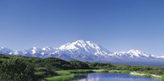 Denali National Park