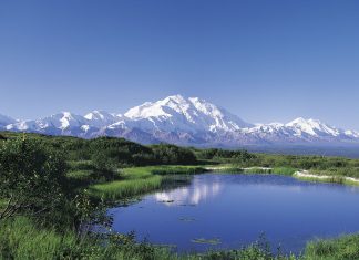 Denali National Park