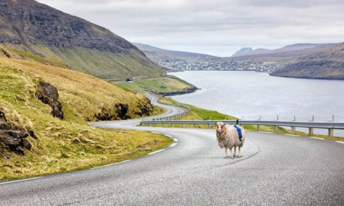 Faroe