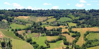 Italian Wonder Ways