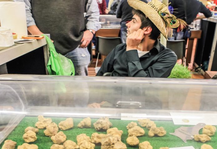 Truffle Experience nelle Langhe