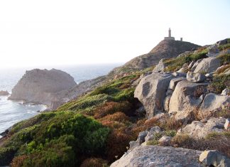 Carloforte , Sardegna