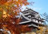 Foliage in Giappone. Foto: JNTO
