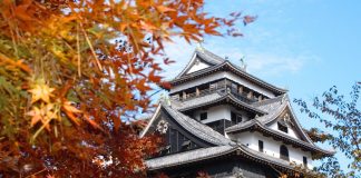 Foliage in Giappone. Foto: JNTO