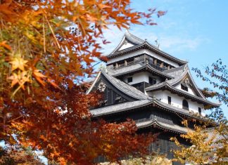 Foliage in Giappone. Foto: JNTO