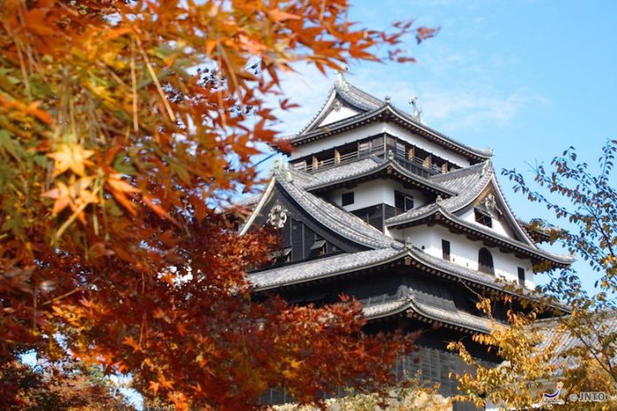 Foliage in Giappone. Foto: JNTO