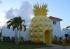 La Pineapple House