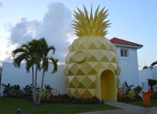 La Pineapple House