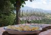 Wine Tour in Tuscany