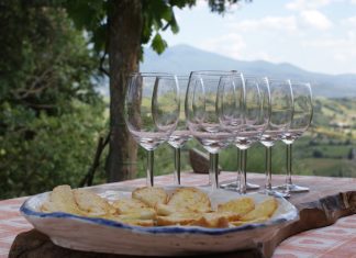 Wine Tour in Tuscany