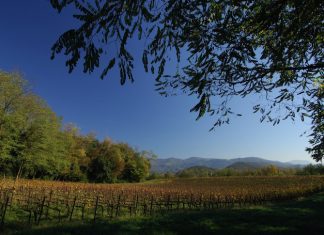 Franciacorta