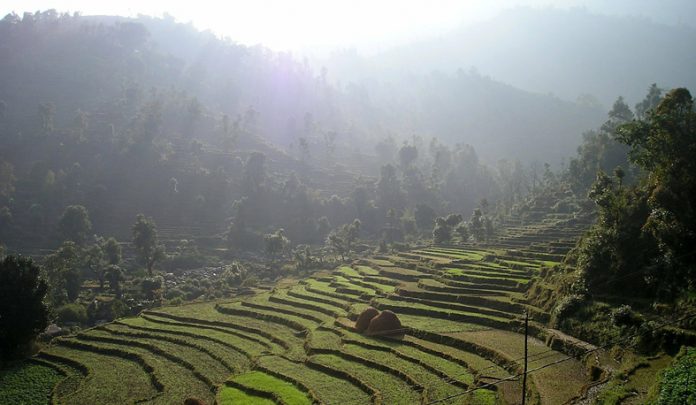 Nepal