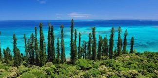 Isola dei Pini, Nuova Caledonia