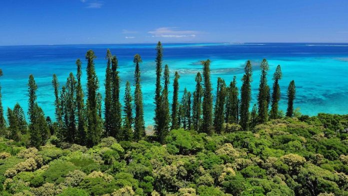 Isola dei Pini, Nuova Caledonia