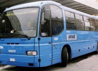 bus noleggio