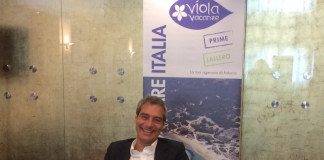 Roberto Minardi, Direttore Vendite di Viola Vacanze