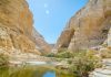 Ein Avdat, deserto di Zin, credit: Manu Grinspan