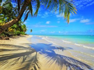 Paradise Beach with crystal water and blue sky. Great landscape.