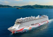 norwegian joy